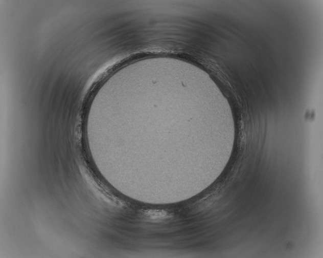 X0000112930392200910051136