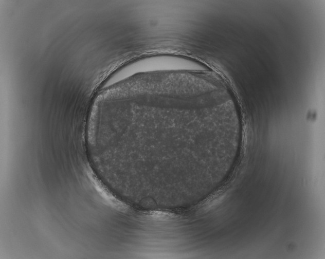 X0000112930393200910051136