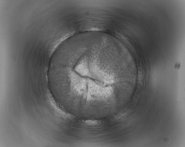 X0000112930394200910051136