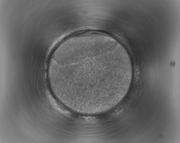 X0000112930395200910051136