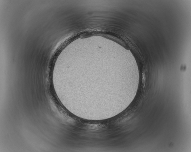 X0000112930396200910051136