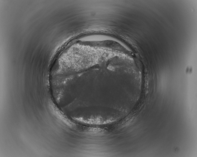 X0000112930399200910051136