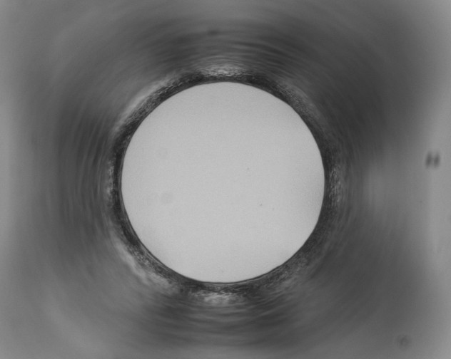 X0000112930400200910051136
