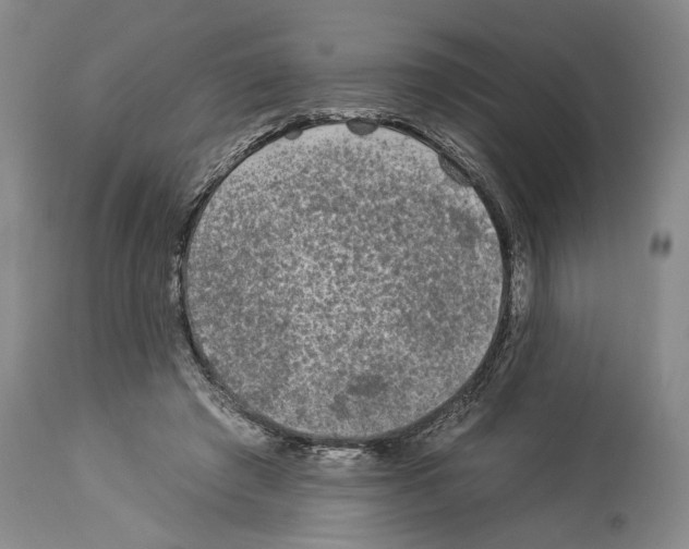 X0000112930401200910051136