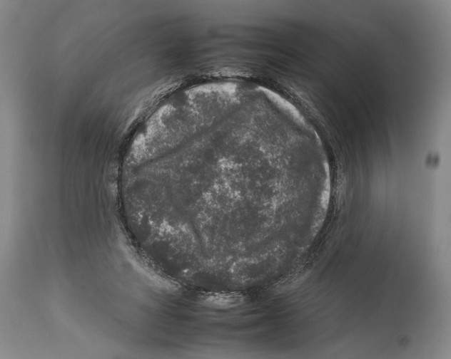 X0000112930402200910051136