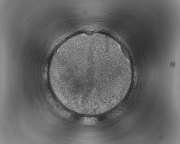 X0000112930403200910051136
