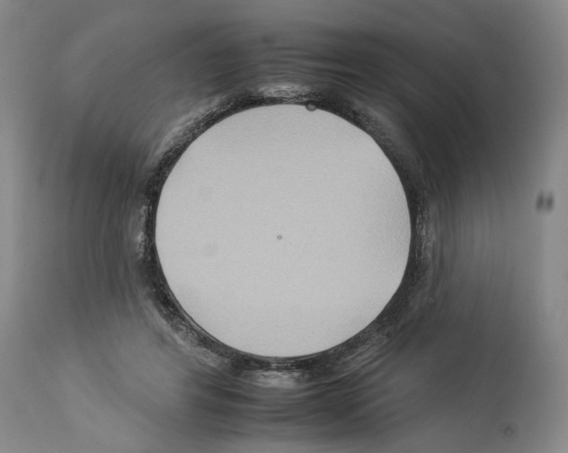 X0000112930404200910051136