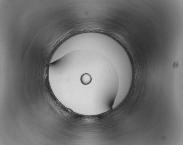 X0000112930405200910051136