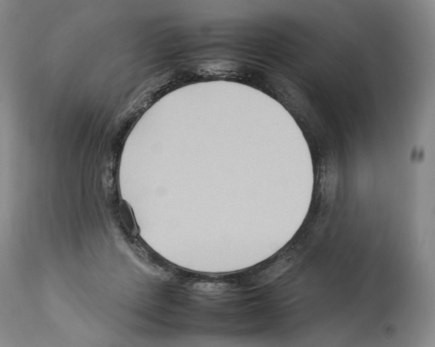 X0000112930408200910051136
