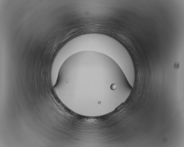 X0000112930409200910051136