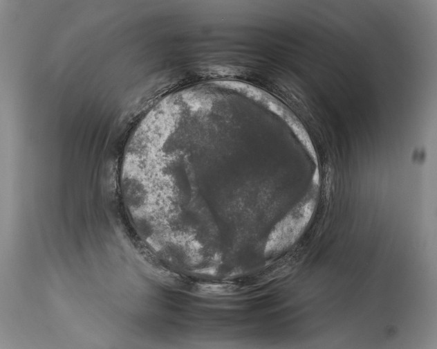 X0000112930410200910051136