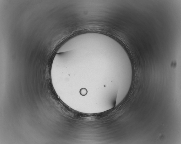 X0000112930411200910051136