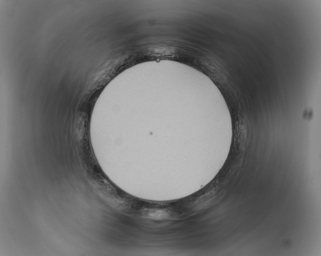 X0000112930412200910051136