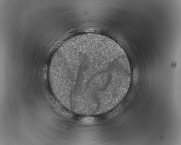X0000112930413200910051136