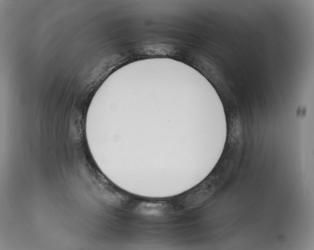 X0000112930414200910051136