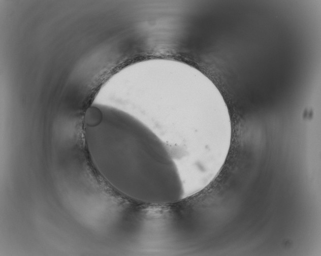 X0000112930415200910051136
