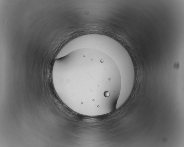 X0000112930417200910051136
