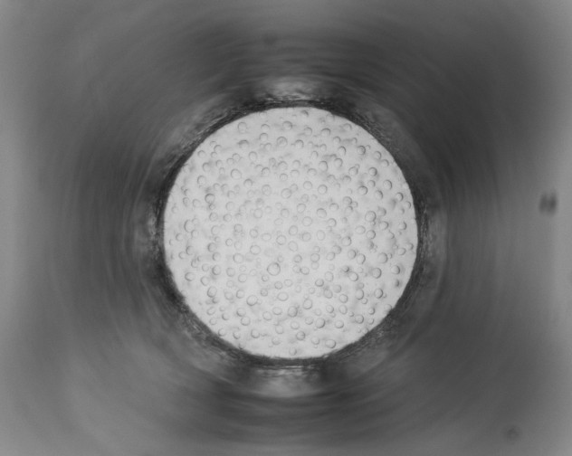 X0000112930418200910051136