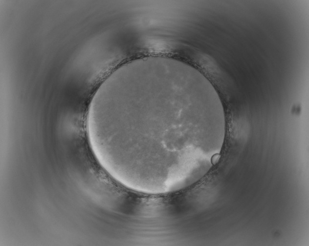X0000112930419200910051136