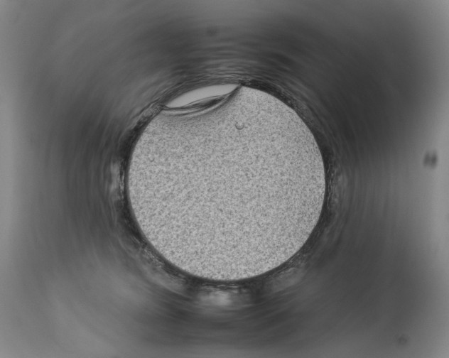 X0000112930420200910051136