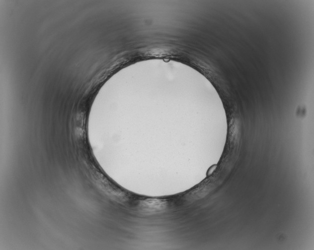 X0000112930421200910051136