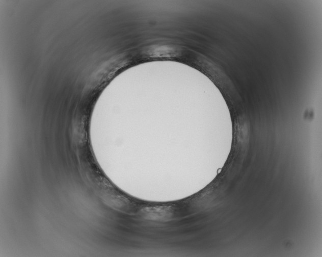 X0000112930422200910051136