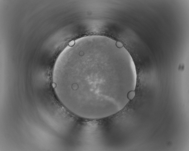 X0000112930423200910051136