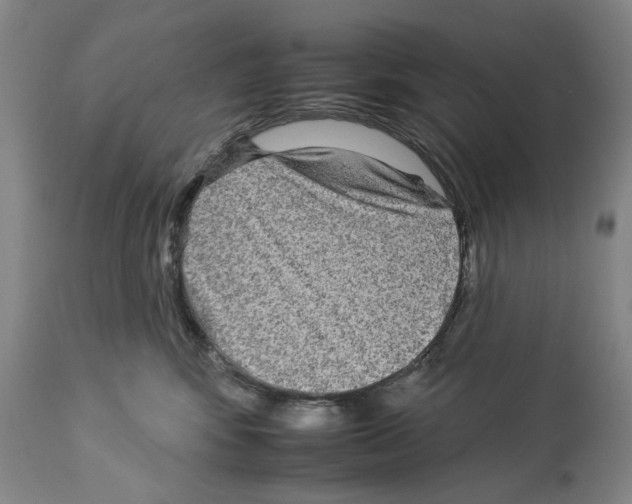 X0000112930424200910051136