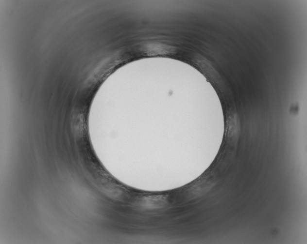 X0000112930426200910051136
