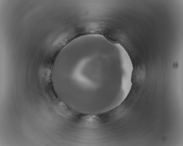 X0000112930427200910051136