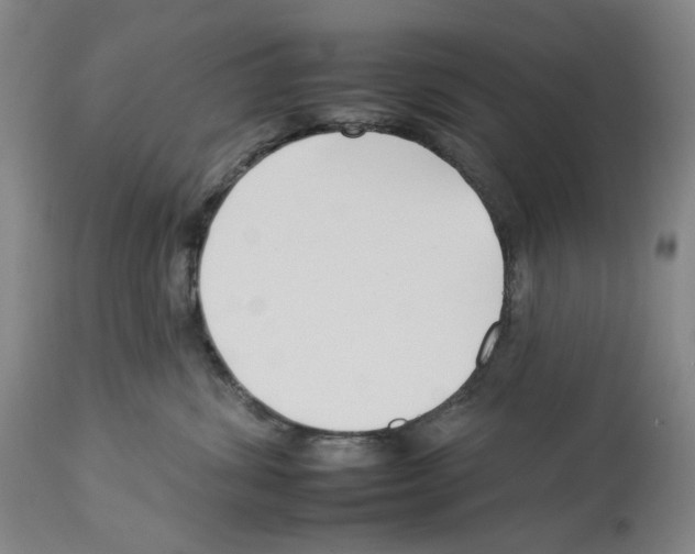 X0000112930428200910051136