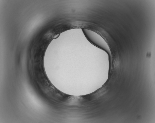 X0000112930429200910051136
