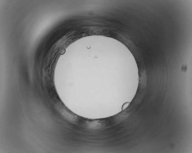 X0000112930430200910051136