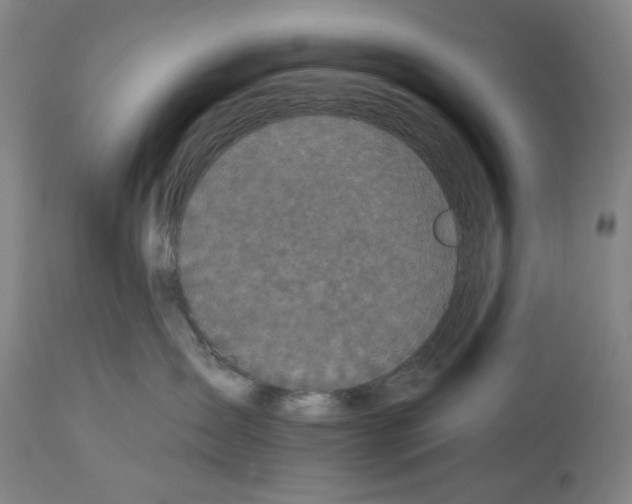 X0000112930431200910051136
