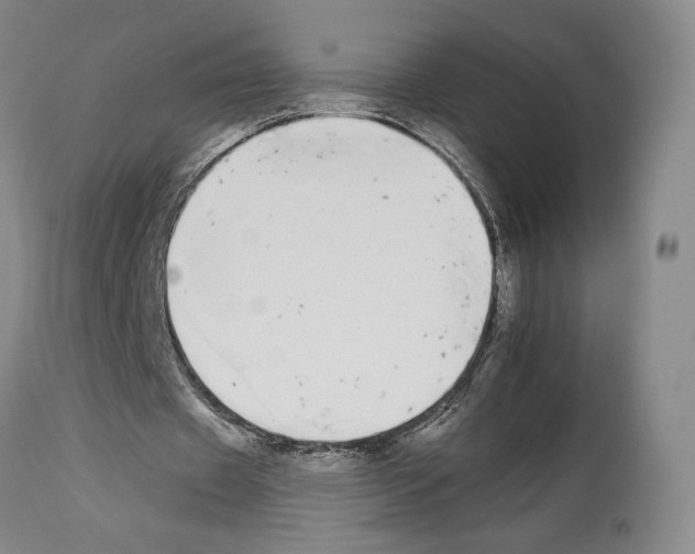 X0000112930433200910051135
