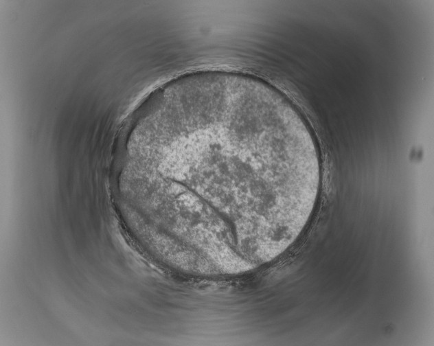 X0000112930434200910051135