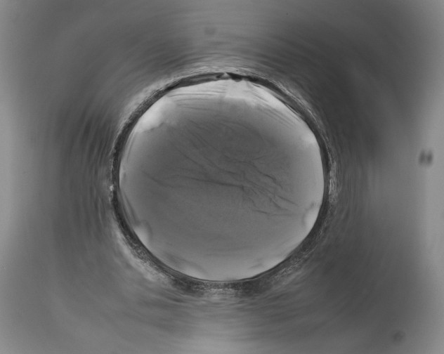 X0000112930438200910051135