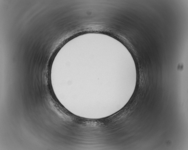 X0000112930439200910051135