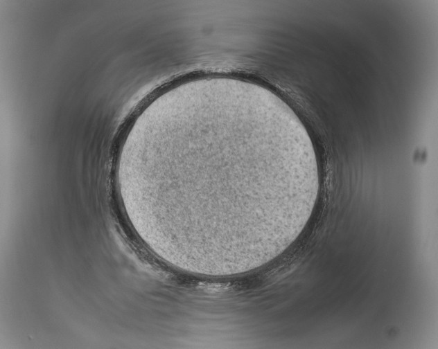 X0000112930440200910051135