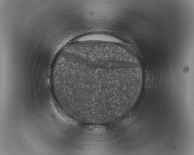 X0000112930443200910051135