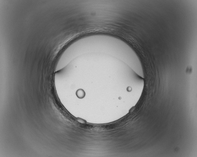 X0000112930444200910051135