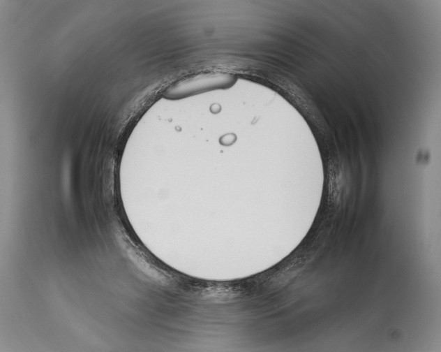X0000112930445200910051135