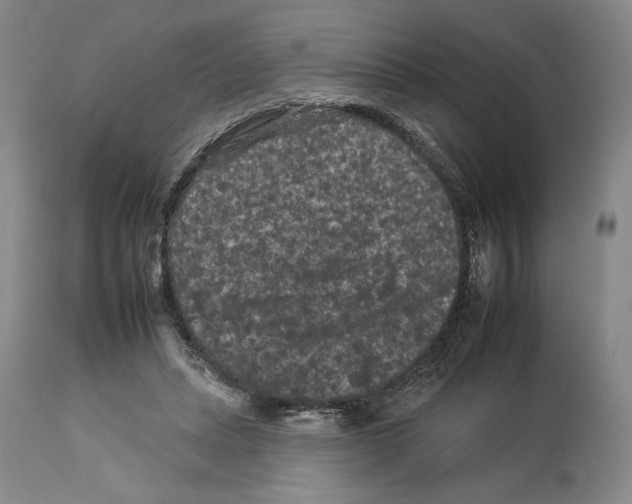 X0000112930447200910051135