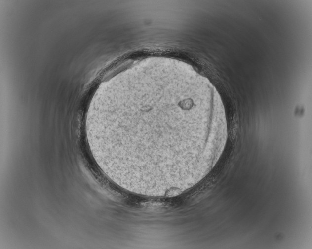 X0000112930448200910051135