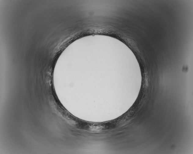 X0000112930450200910051135