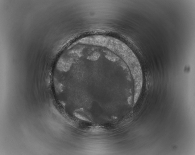 X0000112930451200910051135