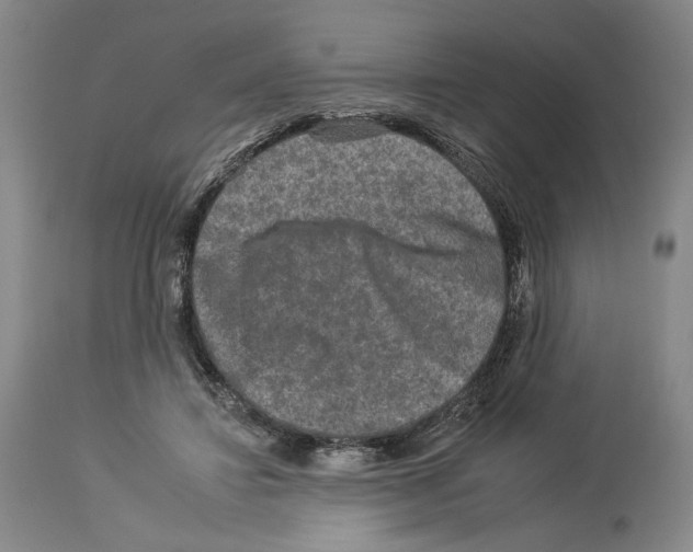X0000112930452200910051135