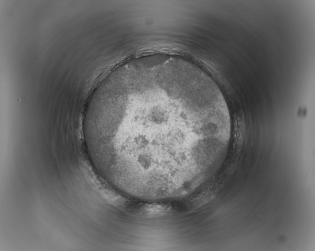 X0000112930453200910051135