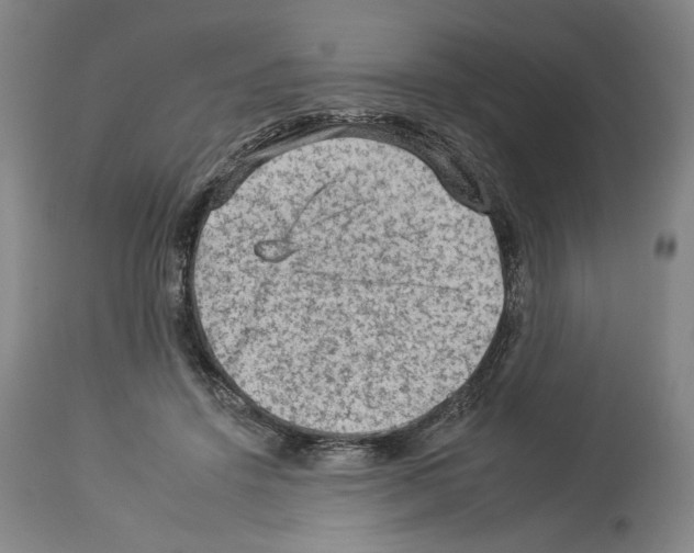 X0000112930456200910051135