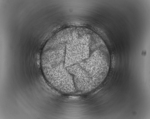 X0000112930457200910051135